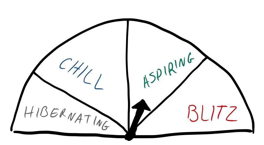 Velocity Gauge